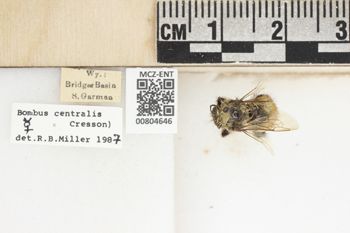Media type: image;   Entomology 804646 Aspect: labels